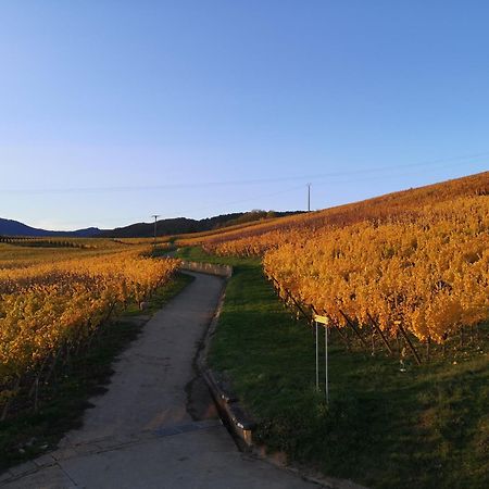 L'Altenberg Бергхайм Екстериор снимка