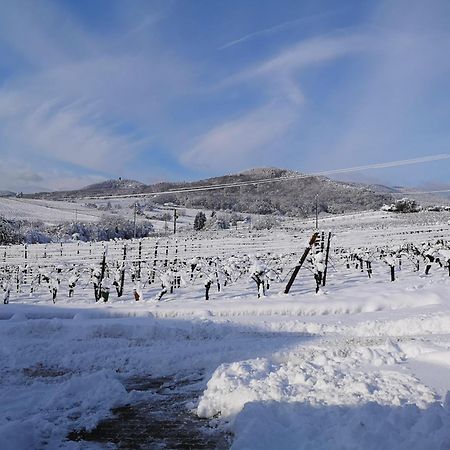 L'Altenberg Бергхайм Екстериор снимка