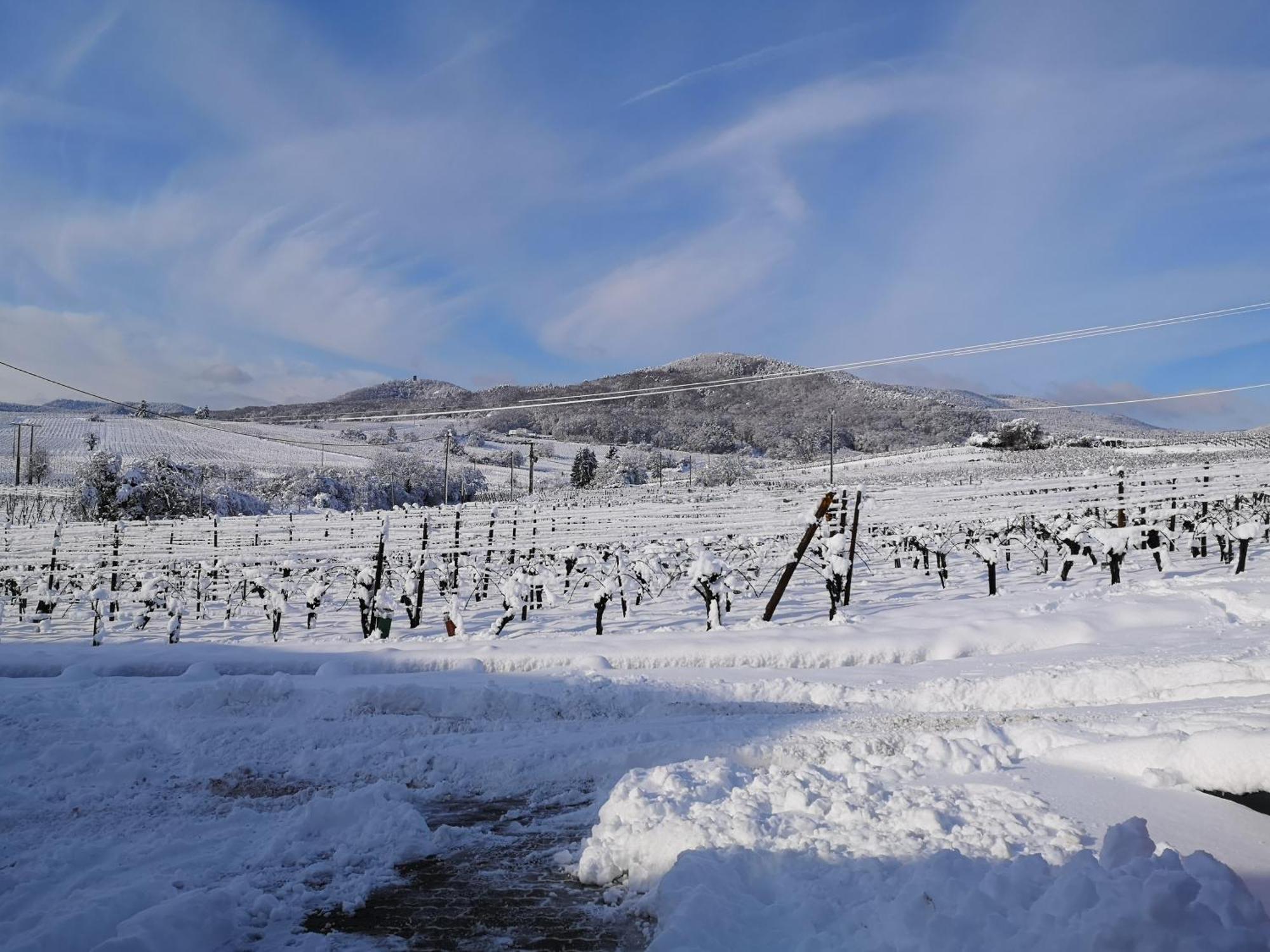 L'Altenberg Бергхайм Екстериор снимка